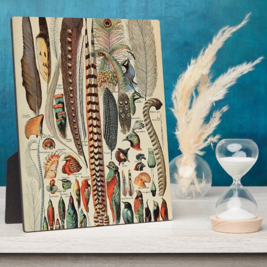 羽鳥の野生生物アンティーク羽 フォトプラーク (側面)