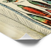 羽鳥の野生生物アンティーク羽 ポスター (コーナー)