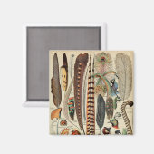 羽鳥の野生生物アンティーク羽 マグネット (正面/裏面)