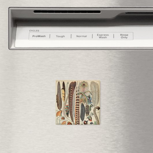 羽鳥の野生生物アンティーク羽 マグネット (インサイチュ (食洗機))