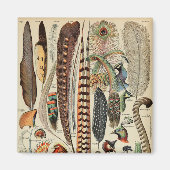 羽鳥の野生生物アンティーク羽 マグネット (正面)