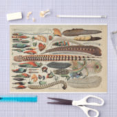 羽鳥の野生生物アンティーク羽 薄葉紙 (クラフト)