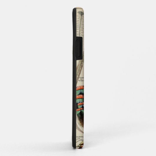 羽鳥の野生生物アンティーク羽 Case-Mate iPhoneケース (裏面/右)