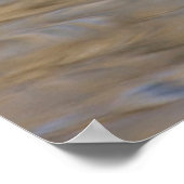 羽鴨が池に泳ぐ ポスター (角)