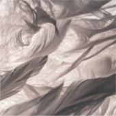 羽 シール (正面)