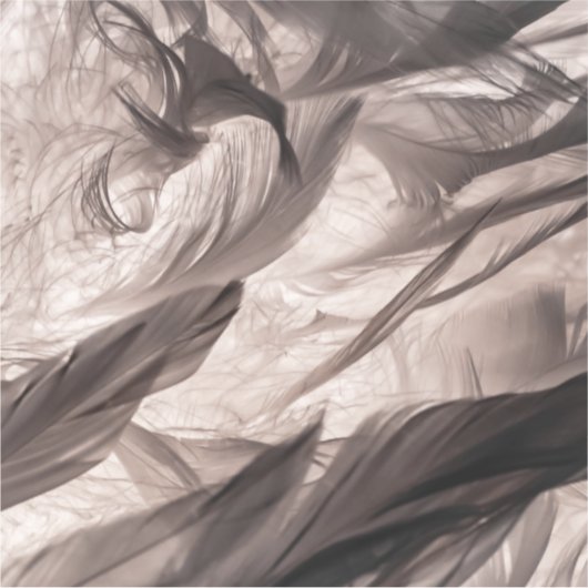 羽 シール (正面)