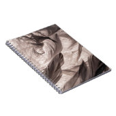 羽 ノートブック (右側)