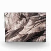 羽 フォトブロック (正面)