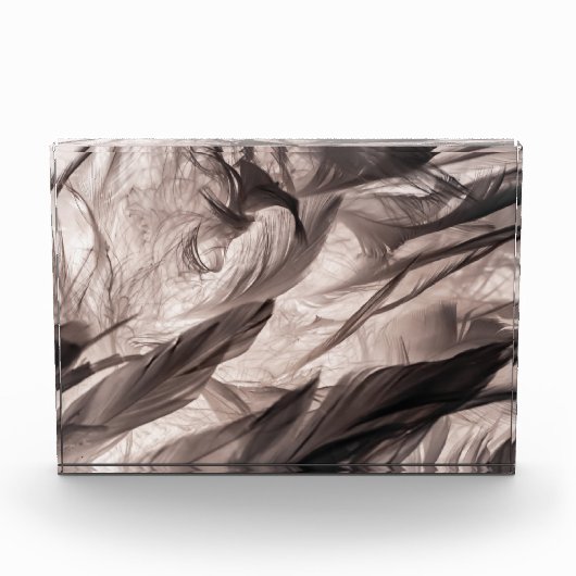 羽 フォトブロック (正面)