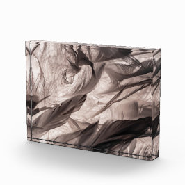 羽 フォトブロック