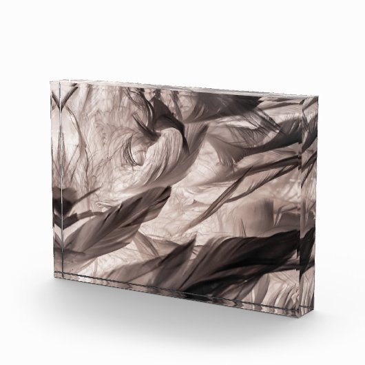 羽 フォトブロック (右)