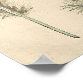 羽 ポスター (角)