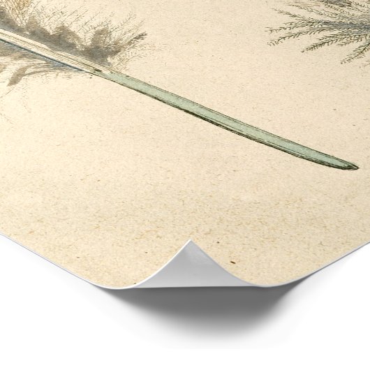 羽 ポスター (角)