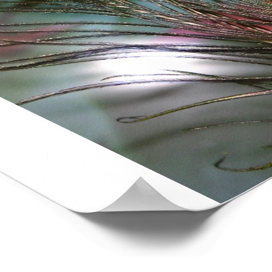 羽 ポスター (角)