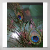 羽 ポスター (正面)