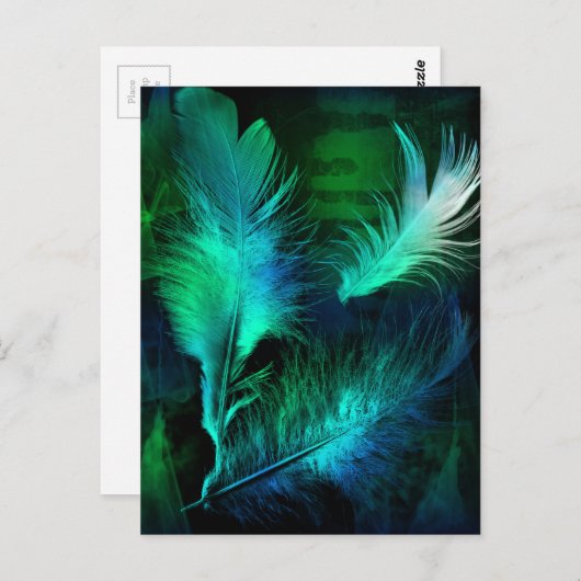 羽 ポストカード (正面/裏面)