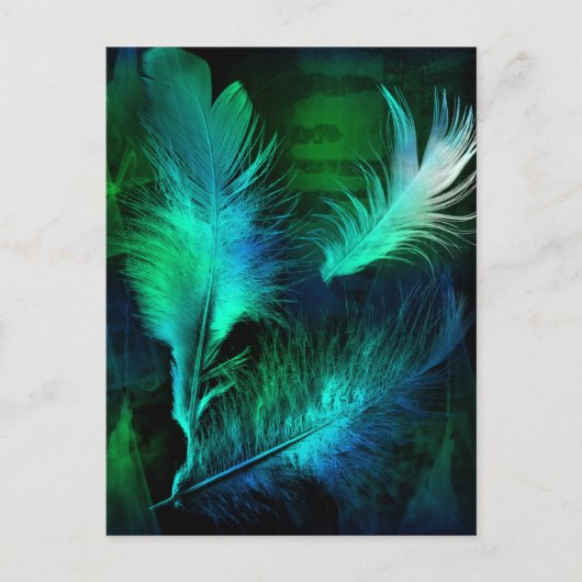 羽 ポストカード (正面)