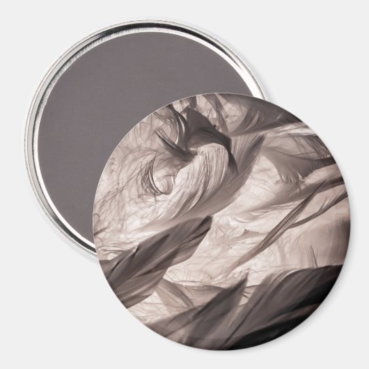 羽 マグネット (正面/裏面)