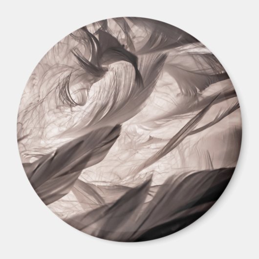 羽 マグネット (正面)