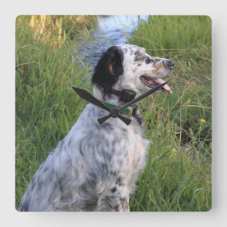 羽Llewellinの犬が付いている柱時計 スクエア壁時計