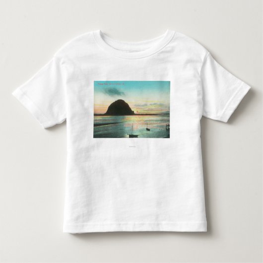 翌日の石および湾の空中写真 トドラーTシャツ (正面)