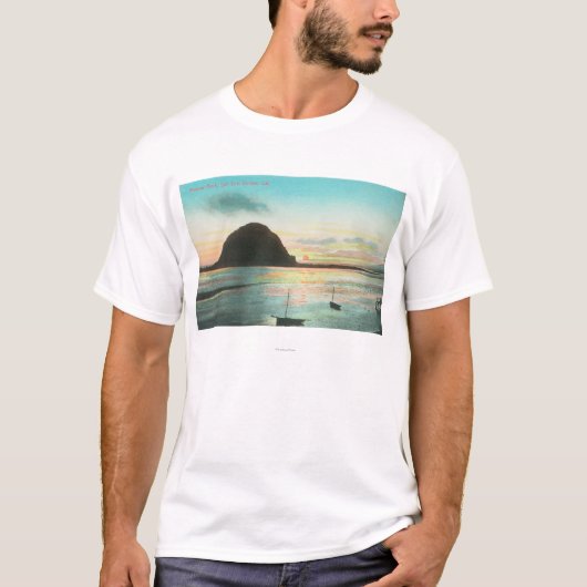 翌日の石および湾の空中写真 Tシャツ (正面)