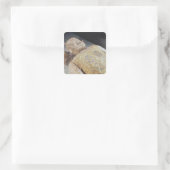 翡翠の埋葬服 スクエアシール (バッグ)