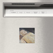 翡翠の埋葬服 マグネット (インサイチュ (食洗機))