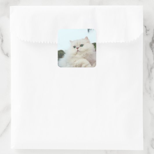 翡翠の目をしたペルシャ猫 スクエアシール (バッグ)