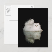 翡翠色の目をしたペルシャ猫 ポストカード (正面/裏面)