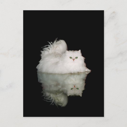 翡翠色の目をしたペルシャ猫 ポストカード (正面)