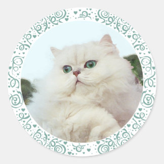 翡翠色の目を持つペルシャ猫 ラウンドシール