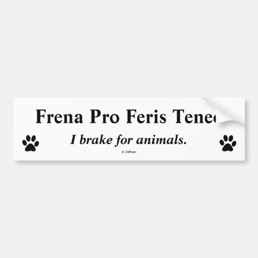 翻訳されるラテン系のバンパー- FrenaプロFeris Teneo バンパーステッカー (正面)