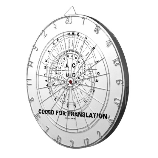 翻訳(RNAのCodonの車輪)のためにコードされる ダーツボード (正面右)