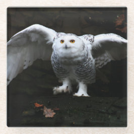 翼が開いたスノーフクロウ ガラスコースター