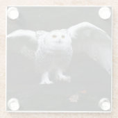 翼が開いたスノーフクロウ ガラスコースター (裏面)