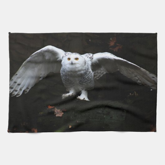 翼が開いたスノーフクロウ キッチンタオル (横)