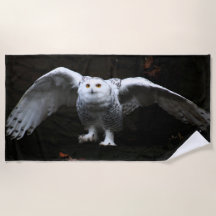 翼が開いたスノーフクロウ