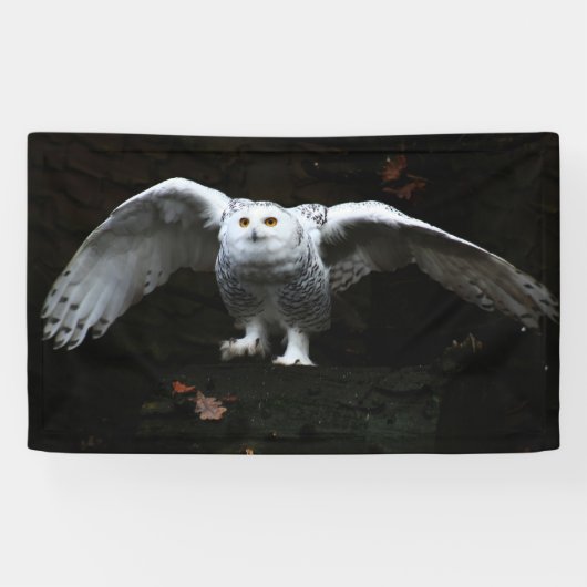 翼が開いたスノーフクロウ 横断幕 (横)