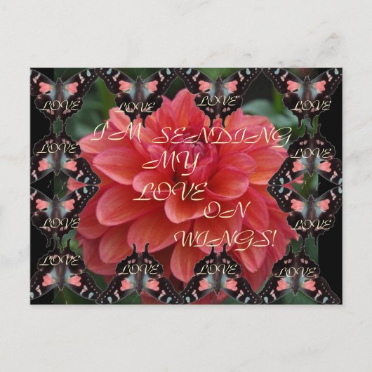 翼に愛を！ポストカード ポストカード (正面)