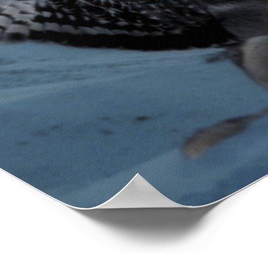 翼のあるオオカミ ポスター (角)