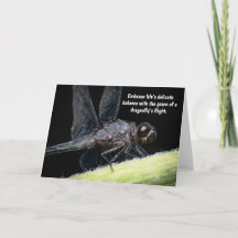 『翼のある知恵 – トンボの物語』