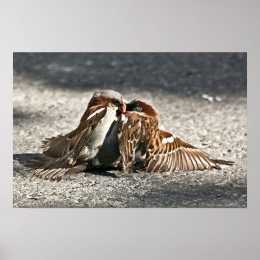 翼のある都市通り戦闘機のポスター ポスター (正面)