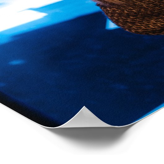 翼のアナスタシア ポスター (角)