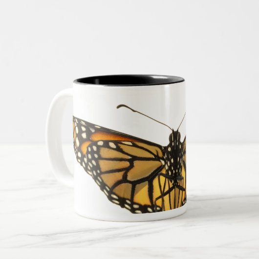 翼の広がりのマダラチョウ ツートーンマグカップ (正面左)