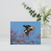 翼の影 ポストカード (スタンド正面)