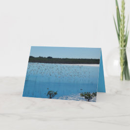 翼の挨拶状の浜鳥 カード