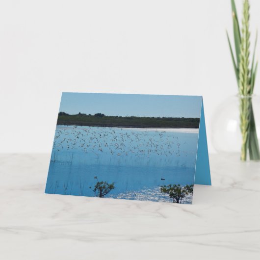 翼の挨拶状の浜鳥 カード (正面)