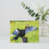 翼はがきを広げる ポストカード (スタンド正面)