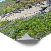 翼を乾かすすばらしい鳥 ポスター (角)